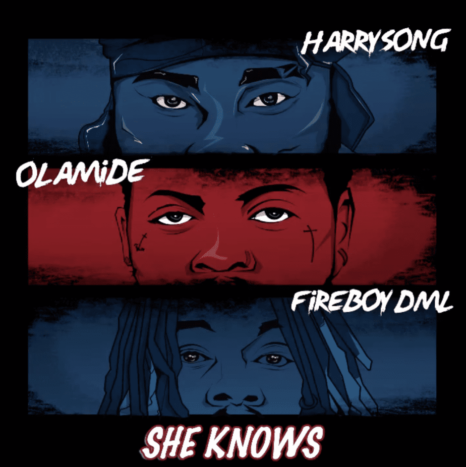 HarrySong – She Knows Ft. Olamide Fireboy DML
