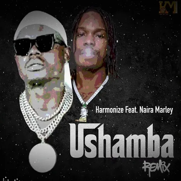 Harmonize – Ushamba Remix Ft. Naira Marley