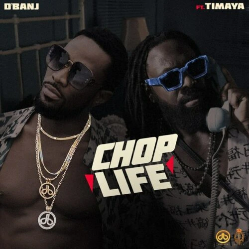 Dbanj Chop Life ft Timaya